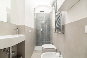 Shower, hair dryer, bidet, towels