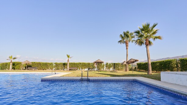 Une piscine bordée de carreaux aux motifs g éométriques, entourée de palmiers et d’une pelouse bien entretenue.