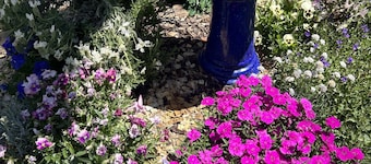 Nellie’s Cottage - delightful boutique mountains cottage