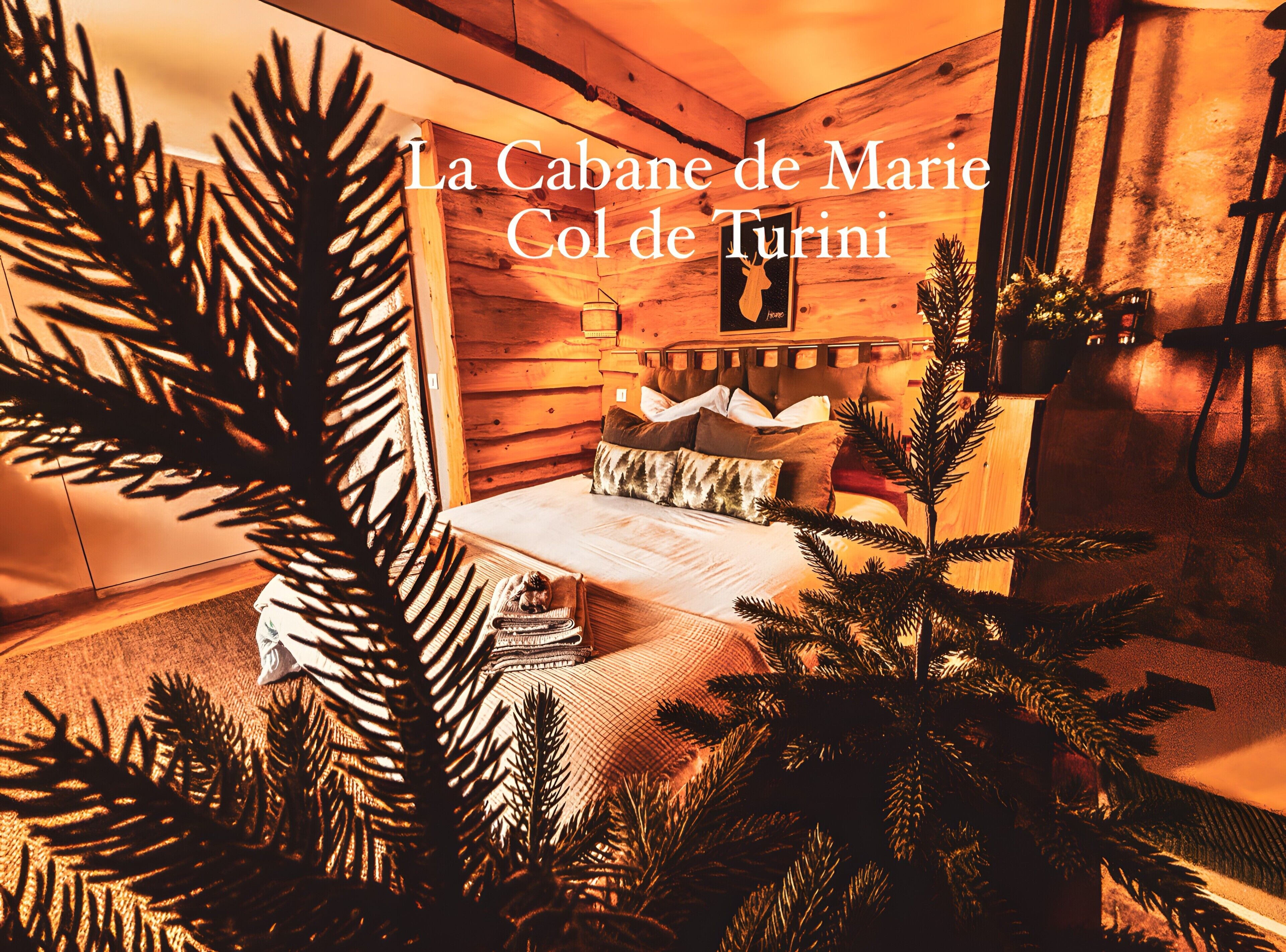 1 bedroom, iron/ironing board, bed sheets