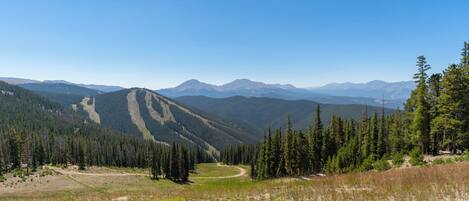 A mountainous landscape with a clear sky, dense forest, and a winding path.