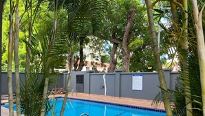 A swimming pool surrounded by bamboo plants and a grey wall with a notice board. - 🌴 Your Dream Getaway in the heart of Accra! Stay in this 3 Bedroom Property! 🏡 (Accra)