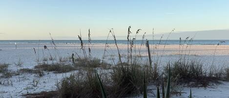 Playa en los alrededores