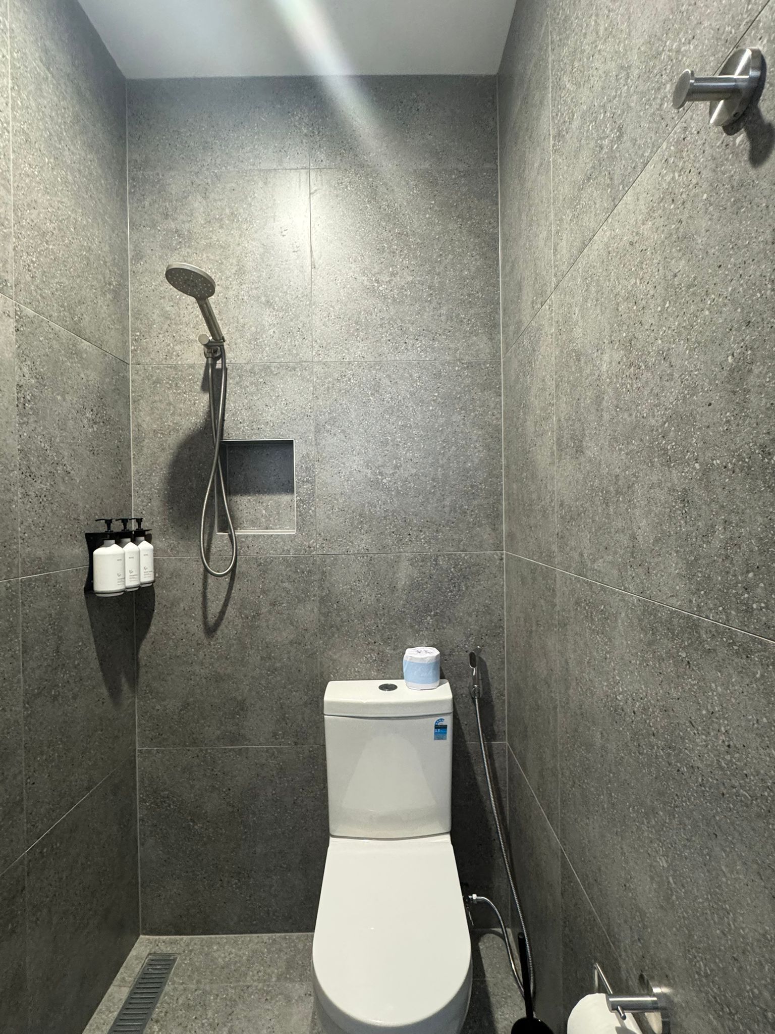 Ein modernes Badezimmer mit Dusche, Toilette und Ablage für Toilettenartikel.