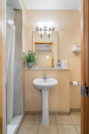 Shower, hair dryer, towels, soap
