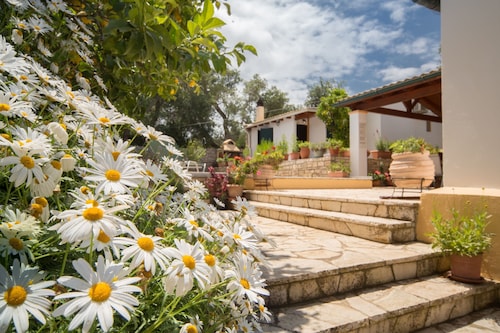 Indulge in Peace: A Paxos Sanctuary by the Olive Groves.