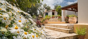 Indulge in Peace: A Paxos Sanctuary by the Olive Groves.