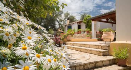 Indulge in Peace: A Paxos Sanctuary by the Olive Groves.