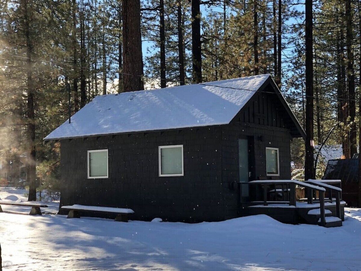 Imagen de perfil del propietario o de la propietaria