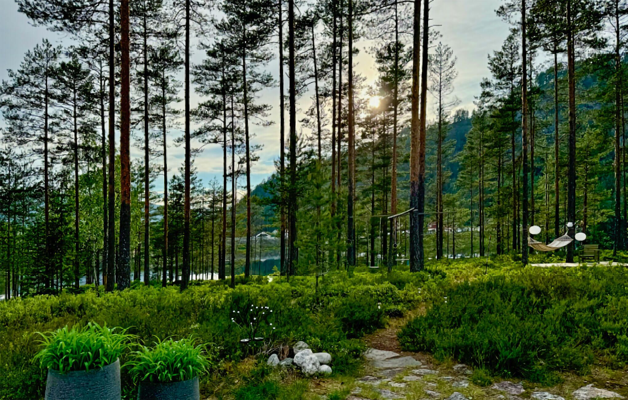 المنطقة المحيطة بالمنشأة