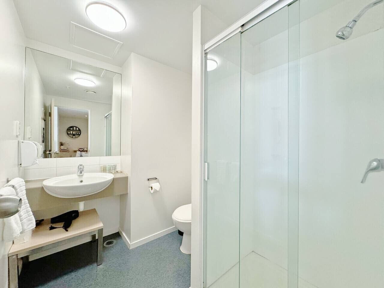 Shower, hair dryer