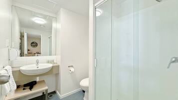 Shower, hair dryer