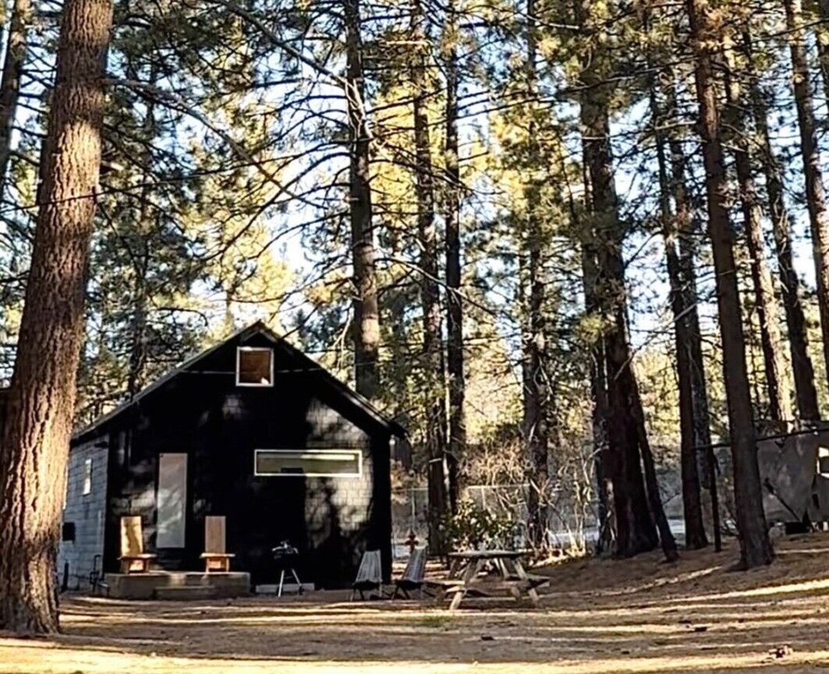 Imagem do perfil do anfitrião