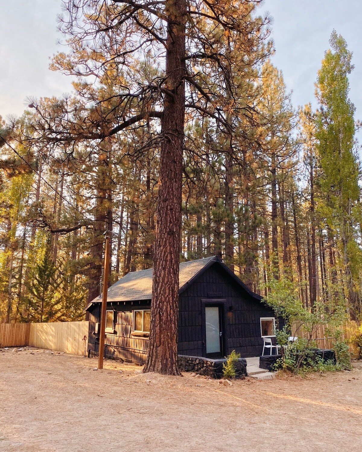 Image de profil de l’hôte