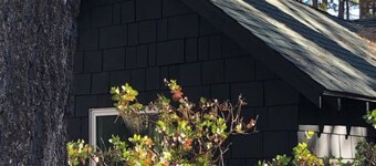 The Place Beyond The Pines - Two Bedroom  / C6