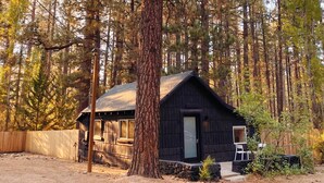 A small cabin with a sloped roof, surrounded by tall trees. - The Place Beyond The Pines - Two Bedroom  / C6 (Big Bear Lake)