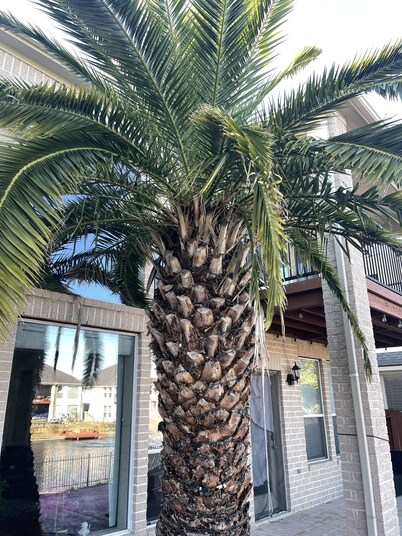 Nice luxurious queen bedroom stay at blue water lake 🏡 in center of Sugar land.