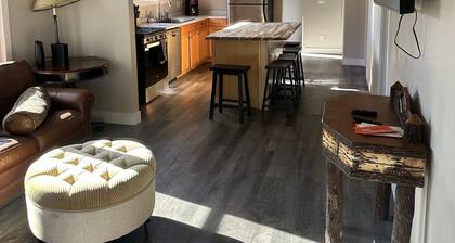 Downtown home just 30 minutes to the slopes! Pet friendly too.