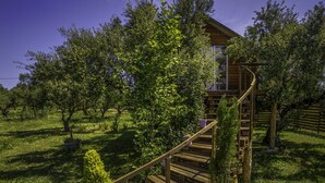 Un escalier en bois mène à un chalet entouré d’une végétation luxuriante et d’arbres.