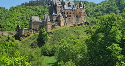 Chalet 'Mini Villa' directly on the Moselle with WiFi and air conditioning