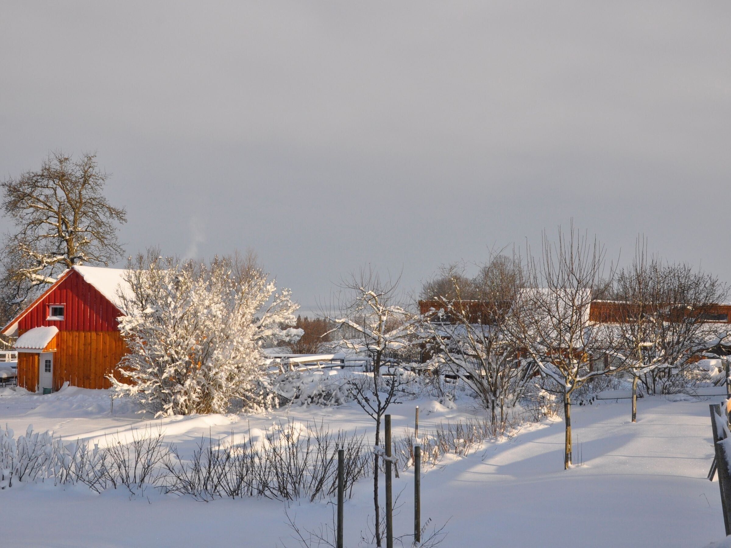 A snow-covered landscape with a red barn and bare trees.