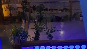 A balcony with potted plants and a blue-lit railing. - Hotel Shree Tara (Kathmandu)