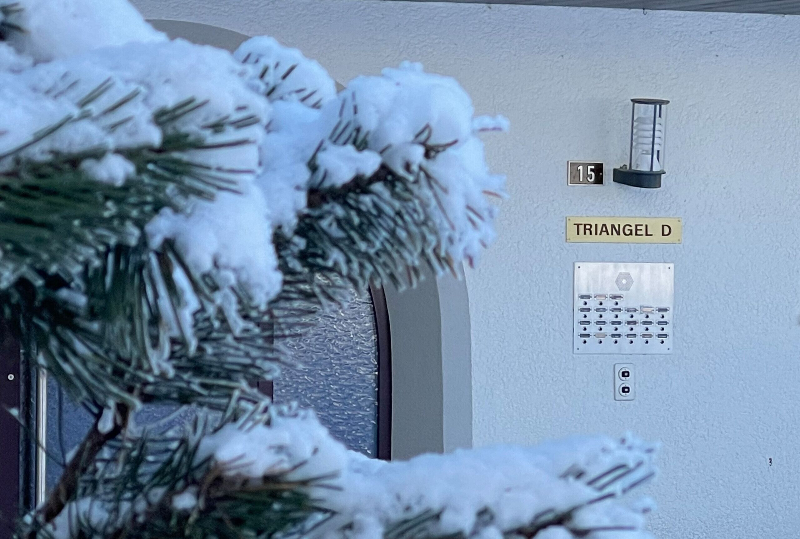Een met sneeuw bedekte dennenboom voor een gebouw met een muurvast elevator en een bordje waarop 