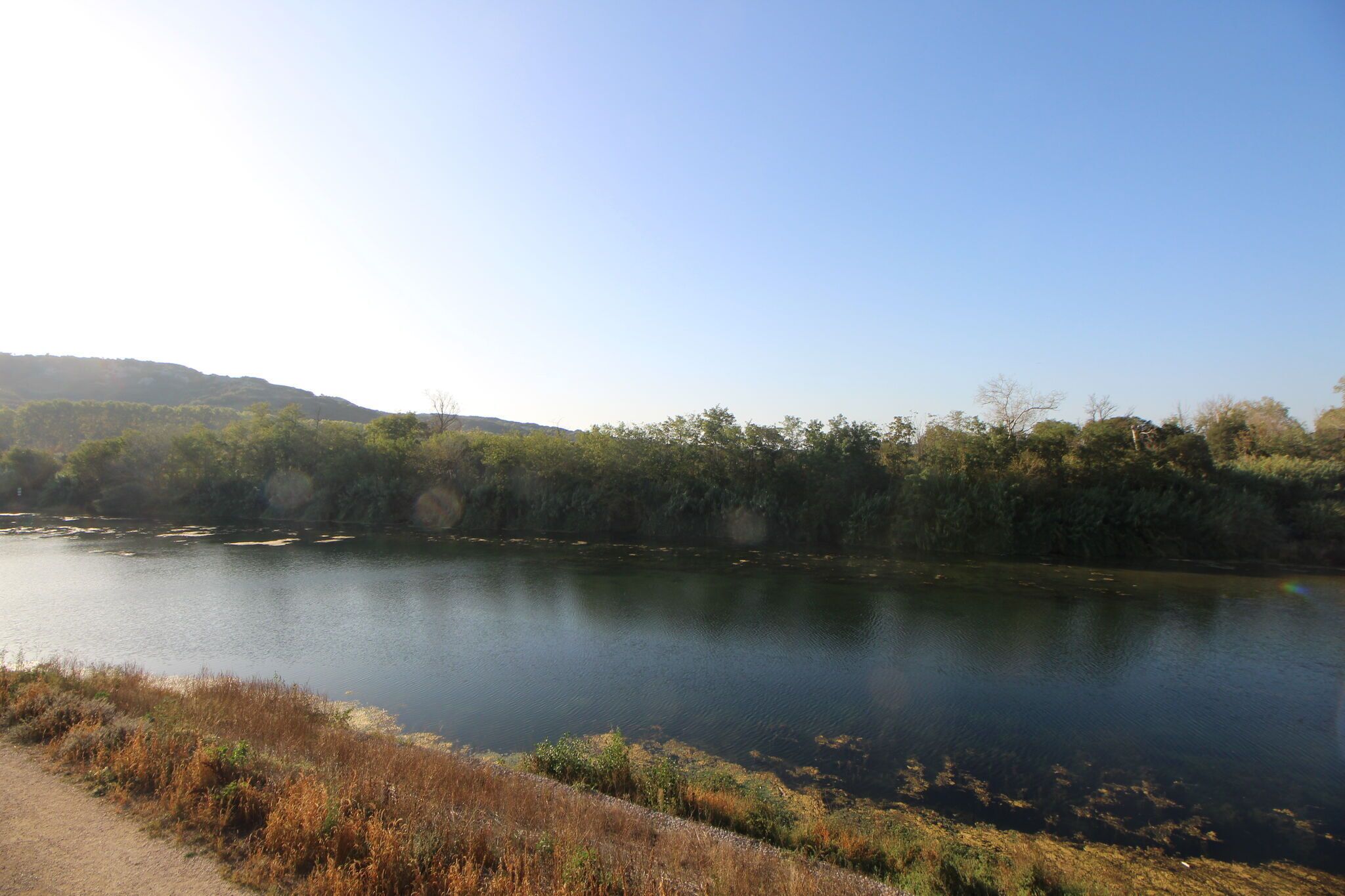 Un río tranquilo con un sendero de tierra a su lado, rodeado de abundante vegetación y colinas al fondo.