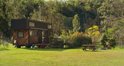 Big Wollombi Wanderer by Tiny Away