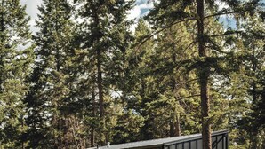 Exterior - Teakettle-Modern-Close To Glacier, Skiing (Columbia Falls)