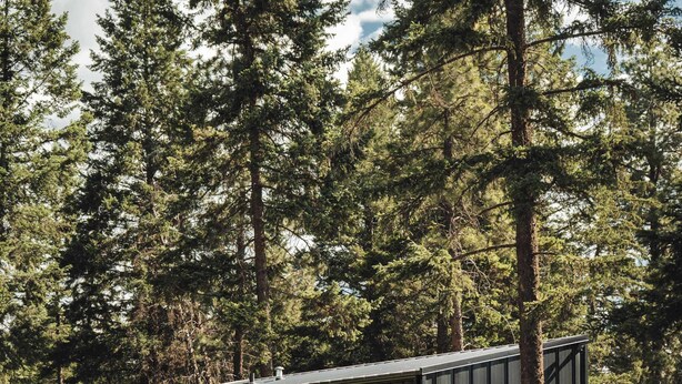 A small, dark-colored cabin with multiple windows, surrounded by a grassy area and tall trees. - Teakettle-Modern-Close To Glacier, Skiing (Columbia Falls)