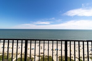 On the beach - Nature's Front-Row: 12th Floor Palms King Suite (Myrtle Beach)