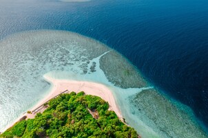 Vista aérea de una playa con aguas cristalinas, orilla arenosa y vegetación verde exuberante.