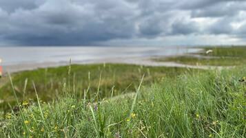 Playa en los alrededores