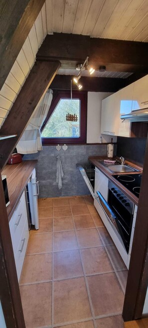 Frigorífico, microondas, horno y placa de cocina