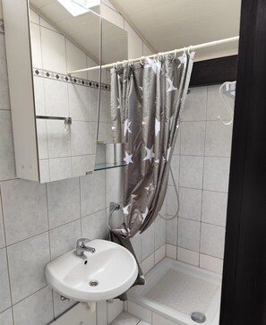 Shower, hair dryer