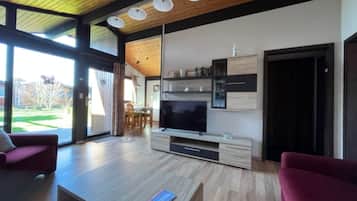 Fernseher, Stereoanlage