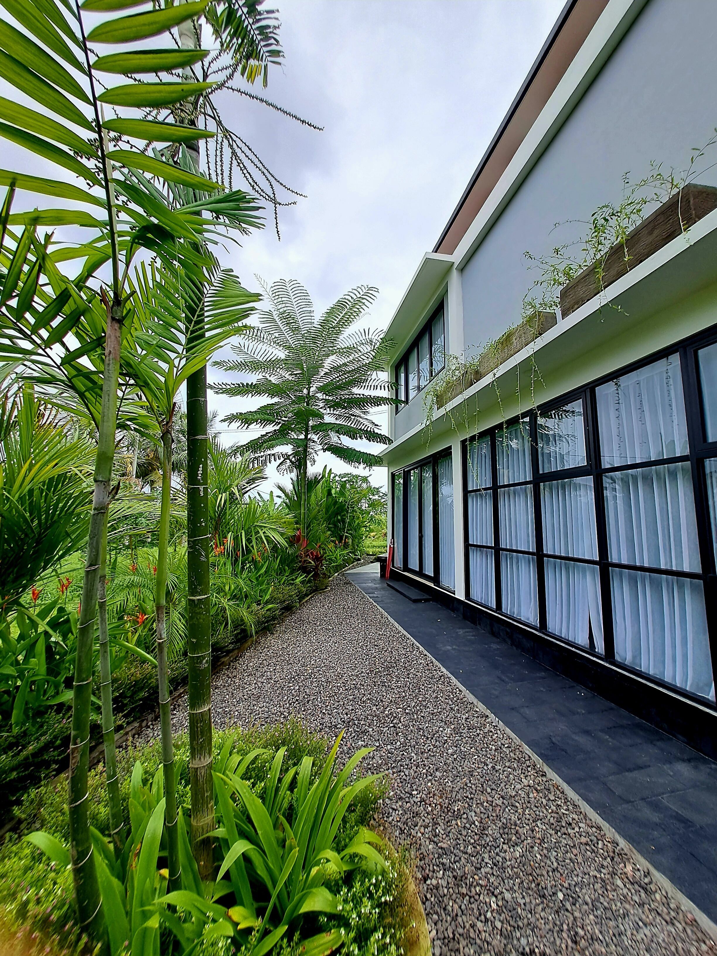 A modern building with large windows and a gravel pathway.