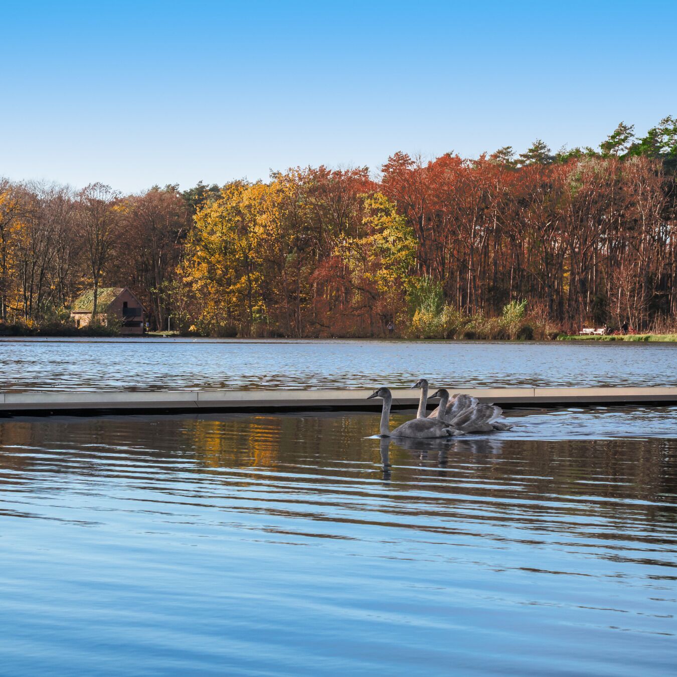 2 slaapkamers, een bureau, reisbedje, gratis wifi