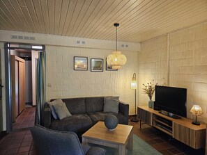 Téléviseur connecté, lecteur de DVD, livres