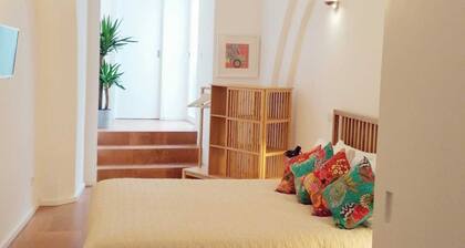 Gorgeous, fully equipped apartment in the center of historic Évora