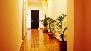 Un pasillo con piso de madera pulida, plantas en macetas y una puerta al final.