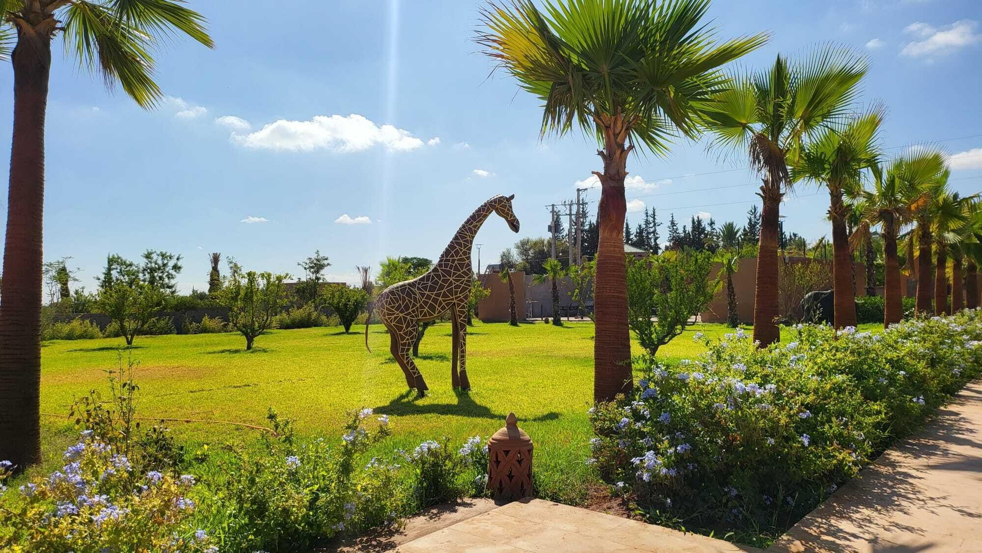 A giraffe in a grassy area with palm trees and flowers.