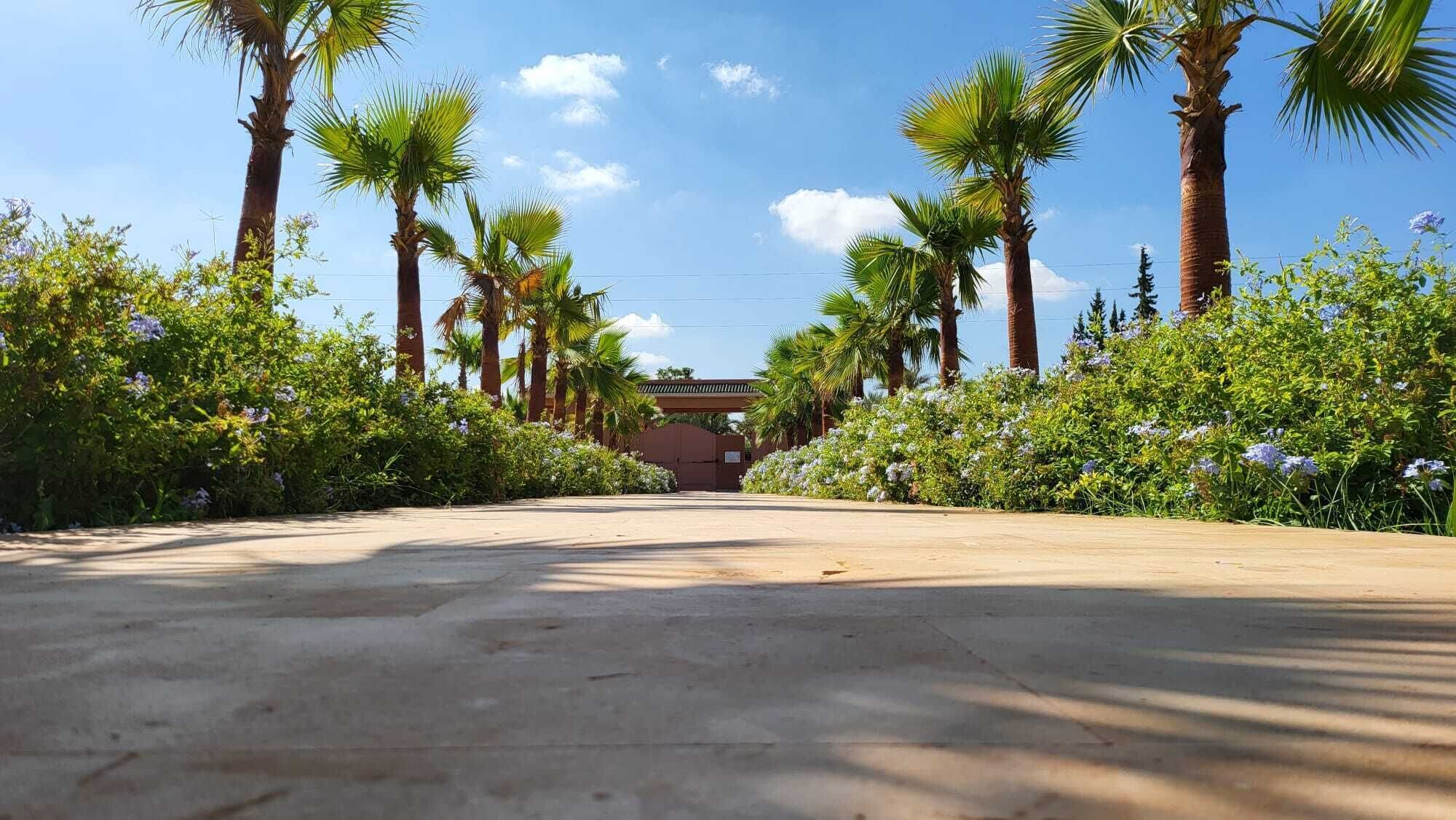 Foto - Hôtel Jardins de lina et lea