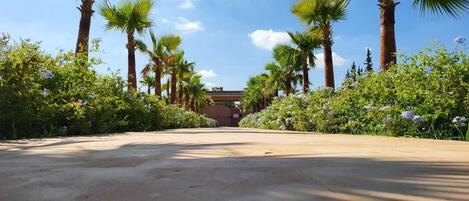 A paved pathway flanked by palm trees and flowering plants leading to a building with a brown roof.