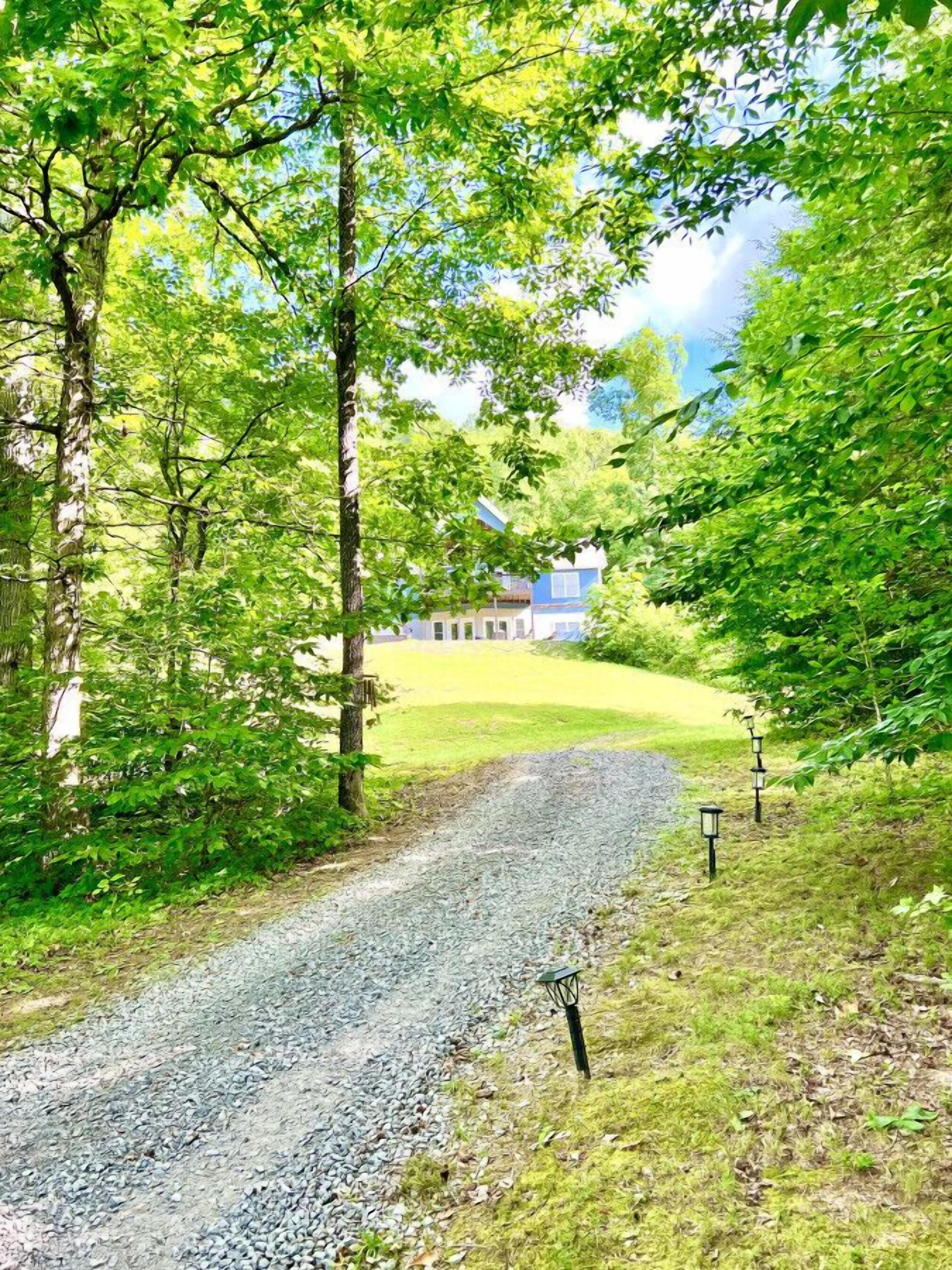 A gravel path leading to a house surrounded by lush greenery.