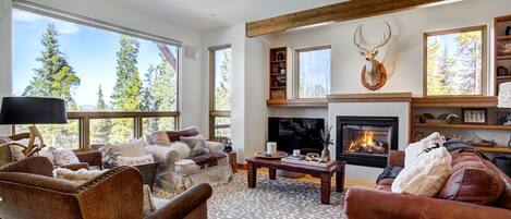 テレビ、暖炉、テレビゲーム、書庫