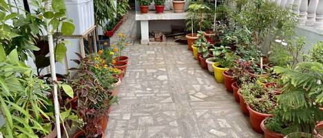 Overnattingsstedets uteområder