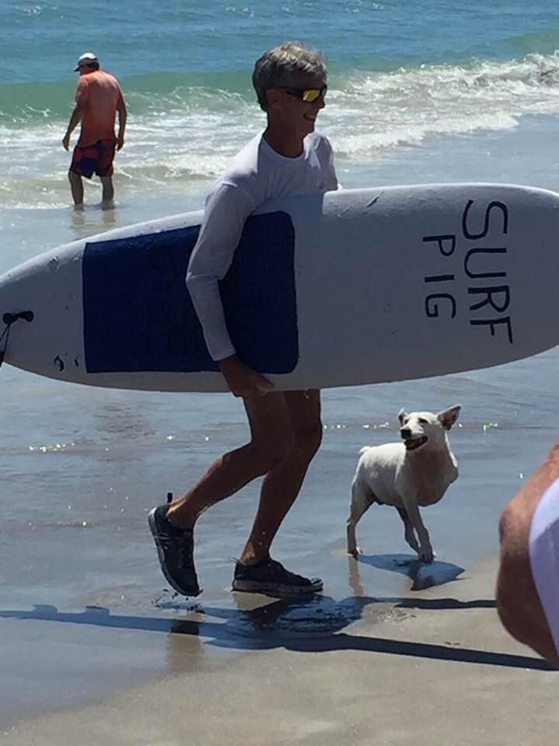 A person carrying a surfboard with the text "SURF PIG" on it, walking on a beach with a dog.