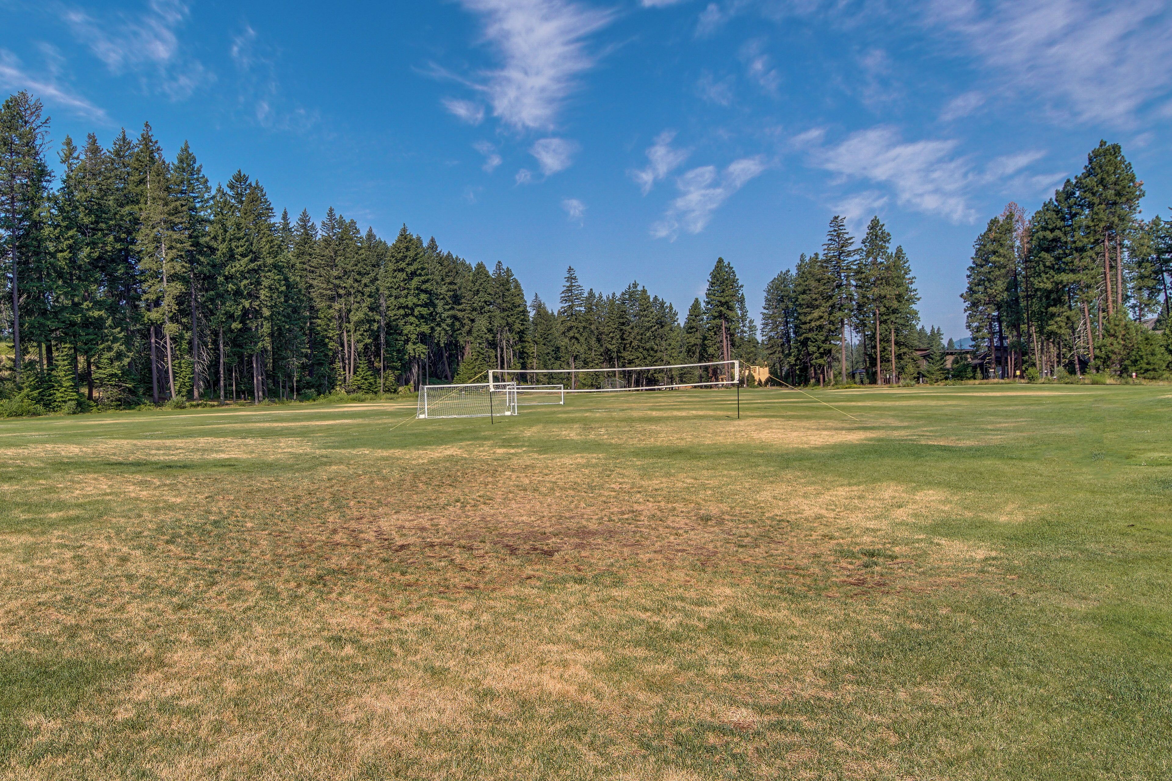 A soccer field with goalposts, surrounded by tall pine trees under a clear sky.